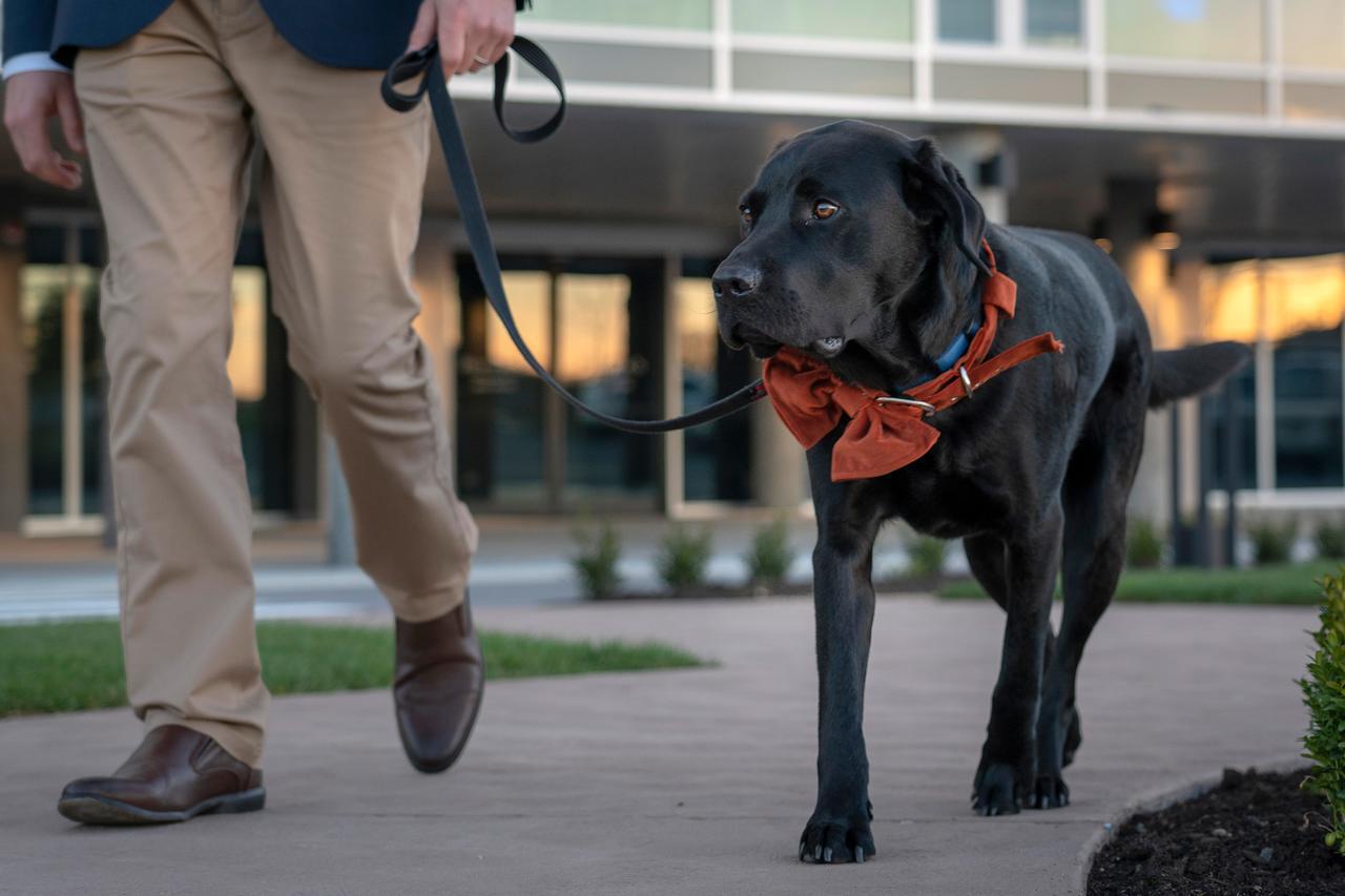 Peppers Silo Hotel Launceston Exterior foto A service dog